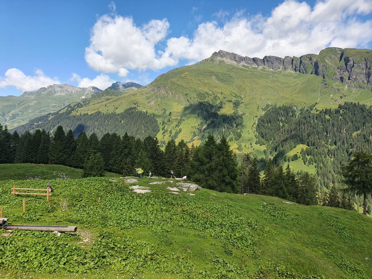 Alpine pasture below limestone cliffs at Sigriswil, Bernese Oberland